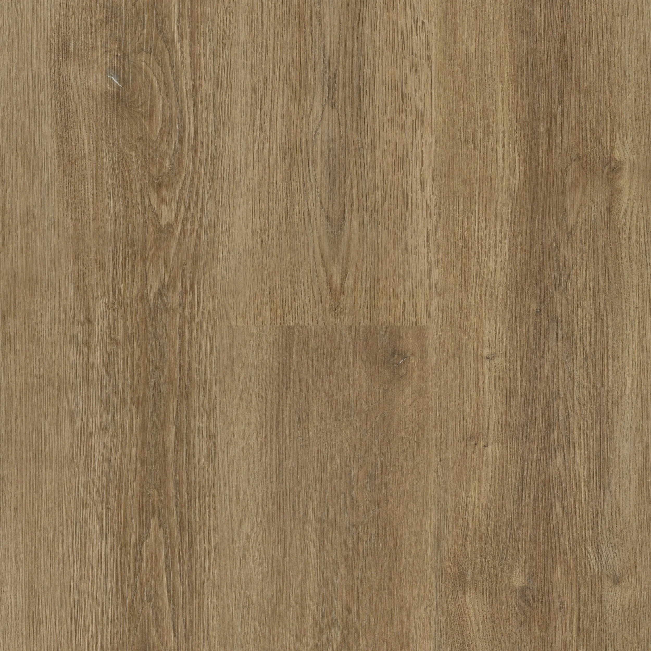 Expanse — Next Floor®